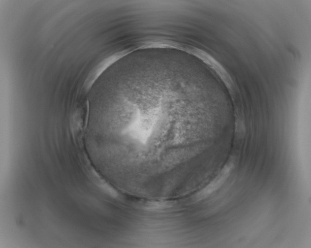 X0000113741385200910140954