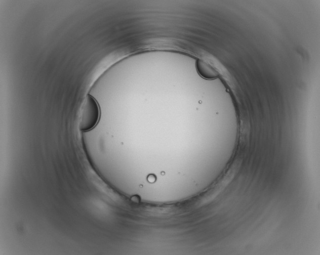 X0000113741386200910140954