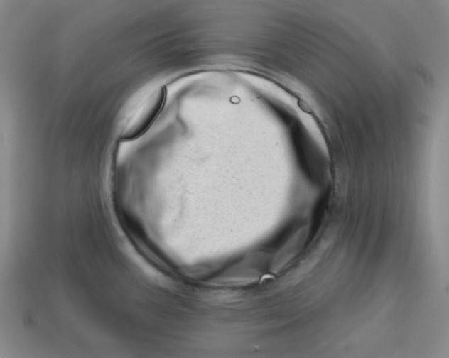 X0000113741387200910140954