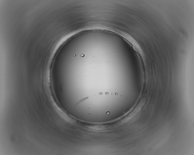 X0000113741388200910140954