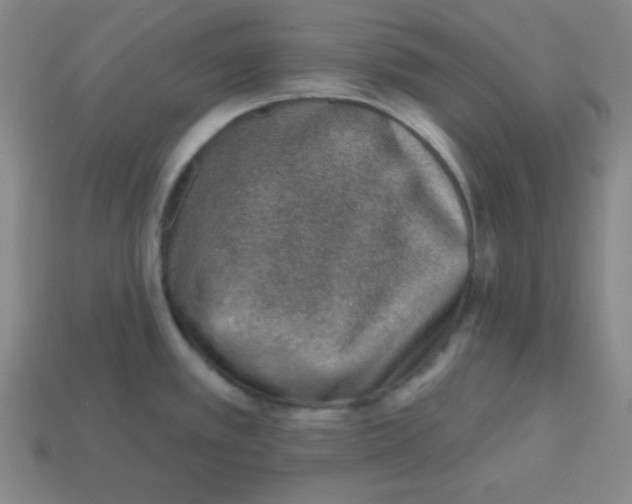 X0000113741389200910140954