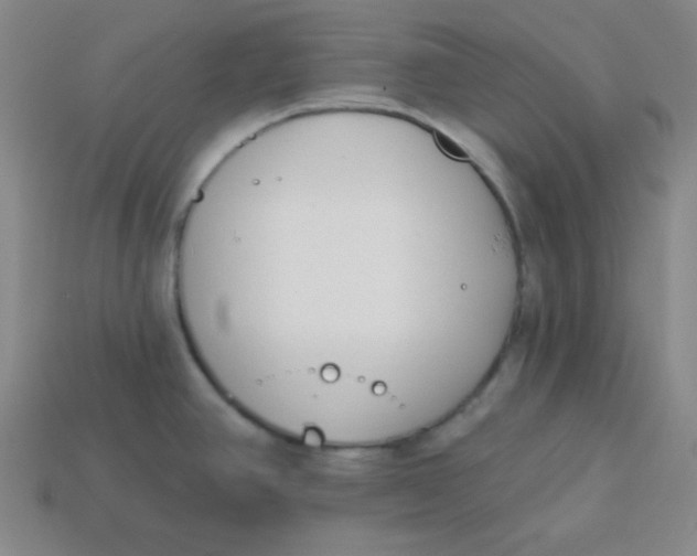 X0000113741390200910140954