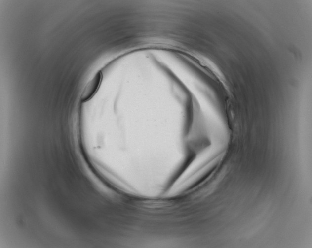 X0000113741391200910140954