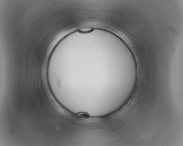 X0000113741392200910140954