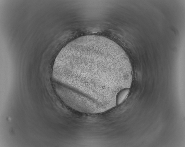 X0000113741393200910140953