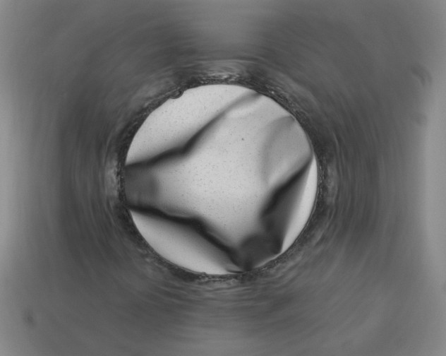 X0000113741394200910140953