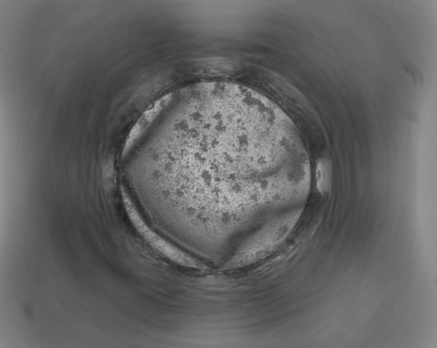 X0000113741395200910140953