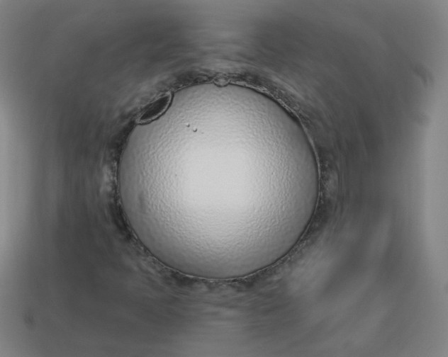 X0000113741397200910140953