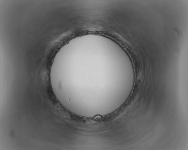 X0000113741398200910140953