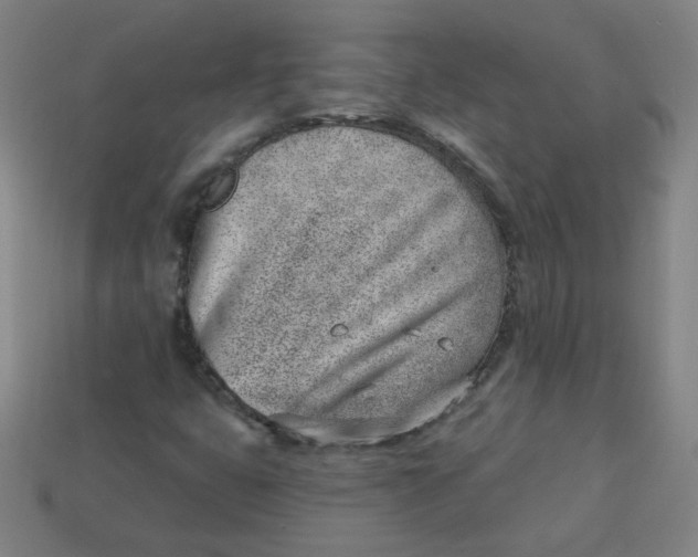 X0000113741399200910140953