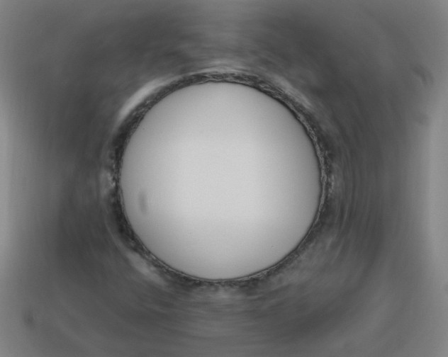 X0000113741400200910140953