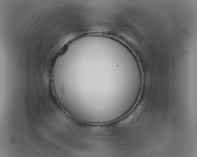 X0000113741401200910140953