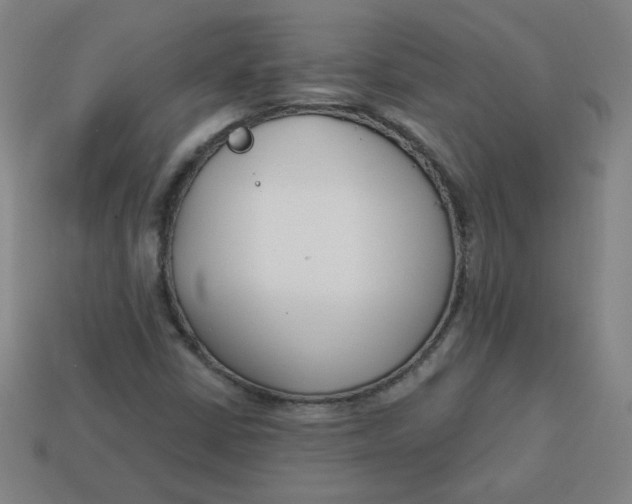 X0000113741402200910140953