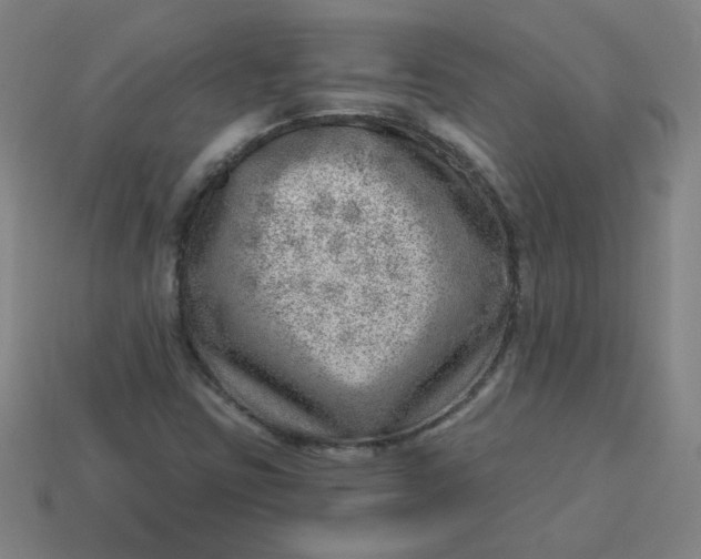 X0000113741403200910140953