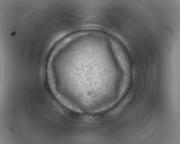 X0000113741405200910140953