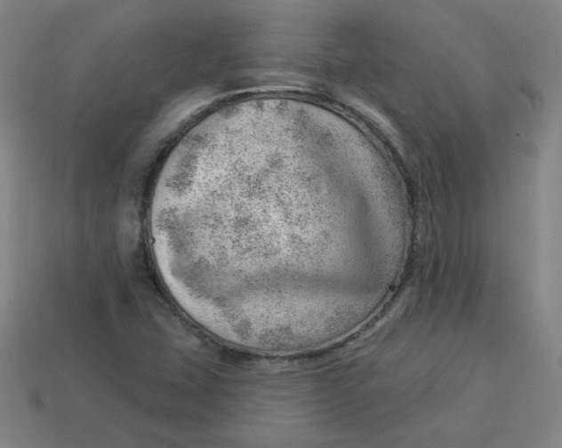 X0000113741407200910140953