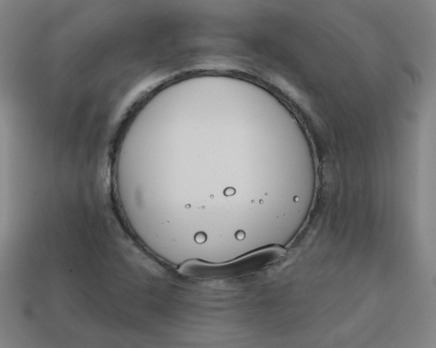 X0000113741408200910140953