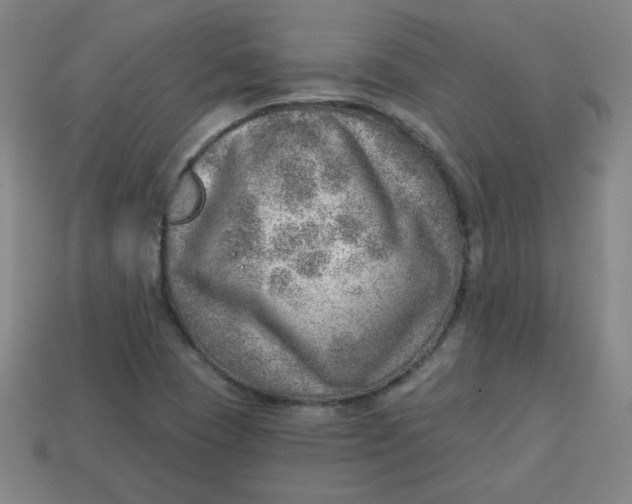 X0000113741409200910140953