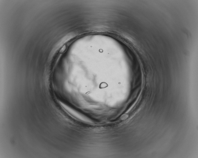 X0000113741410200910140953