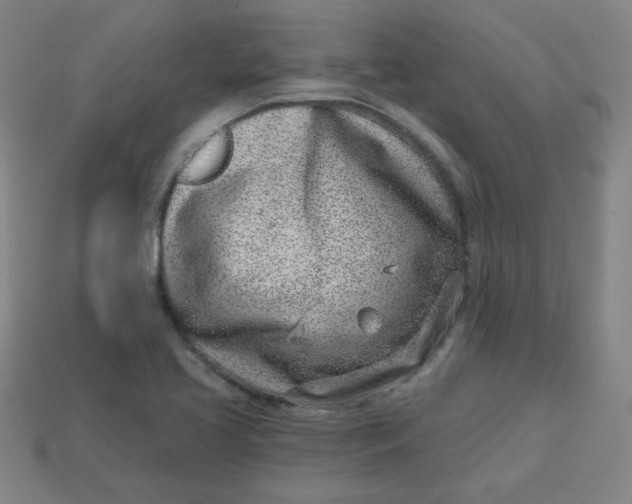 X0000113741413200910140953