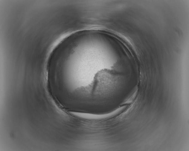 X0000113741414200910140953