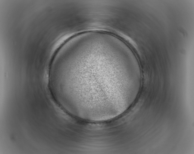 X0000113741415200910140953