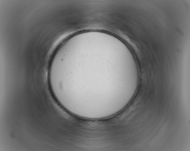 X0000113741416200910140953