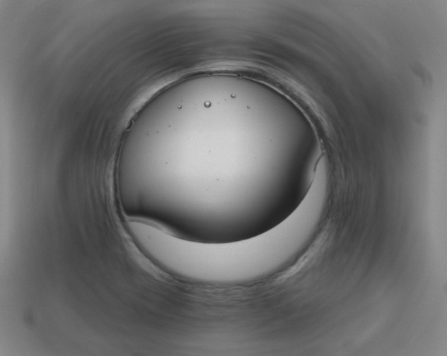 X0000113741417200910140953