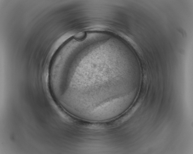 X0000113741418200910140954