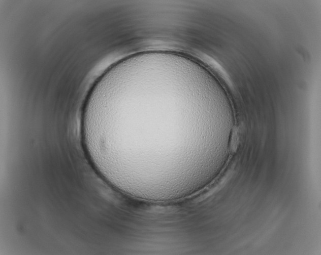 X0000113741419200910140954