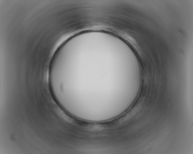 X0000113741420200910140954