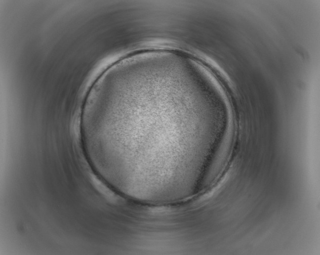 X0000113741421200910140954