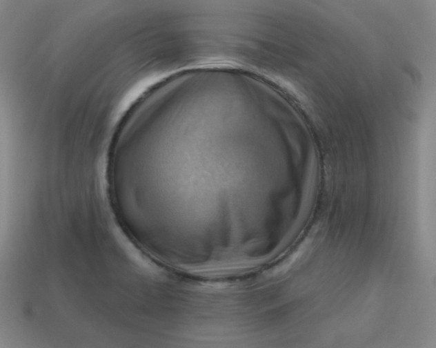 X0000113741422200910140954