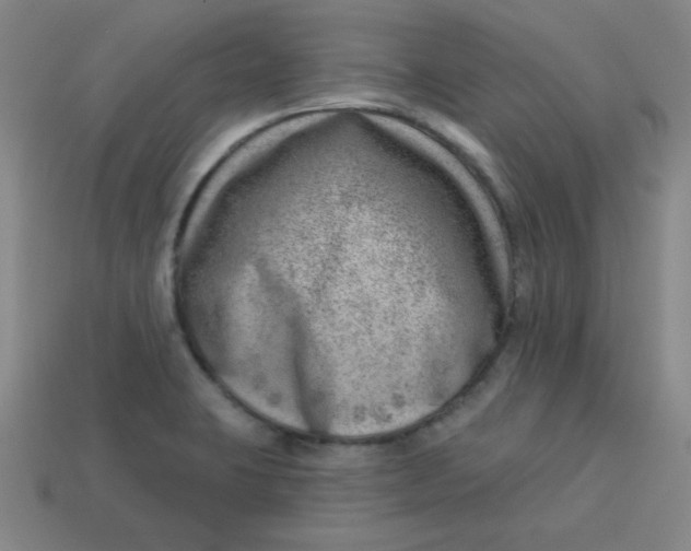 X0000113741423200910140954