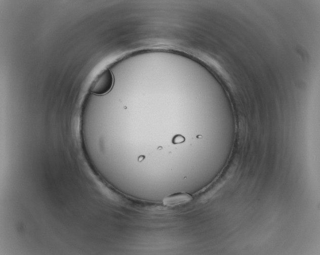 X0000113741424200910140954