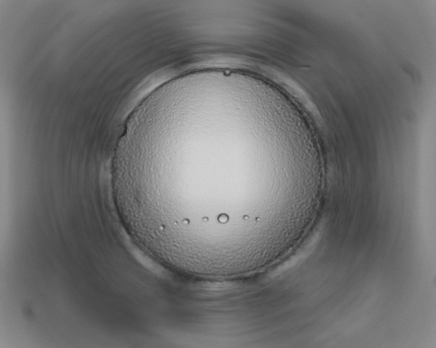 X0000113741425200910140954