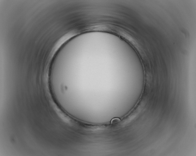 X0000113741426200910140954