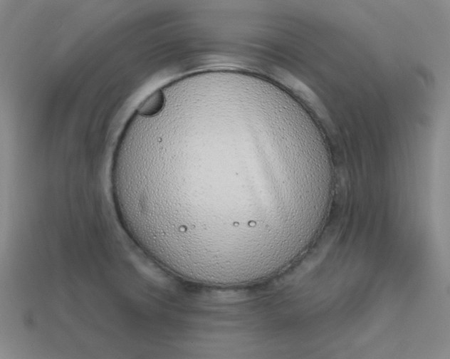 X0000113741427200910140954