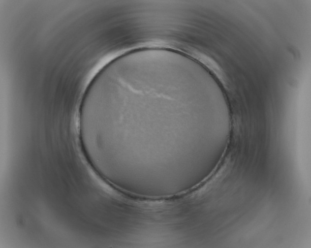 X0000113741428200910140954