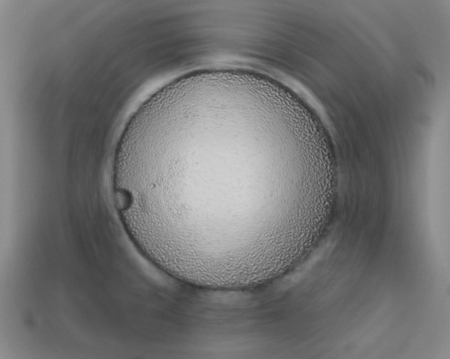 X0000113741429200910140954