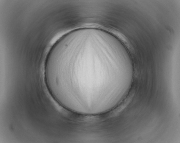 X0000113741430200910140954