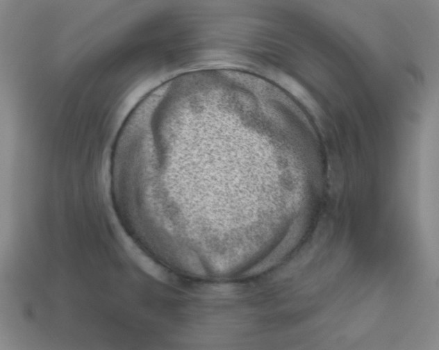 X0000113741431200910140954