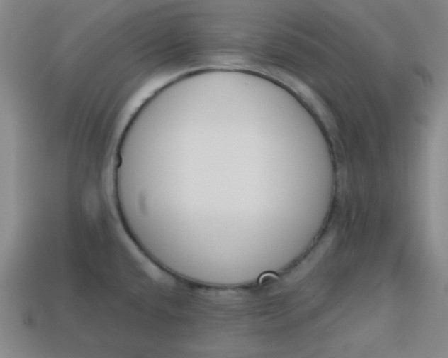 X0000113741432200910140954