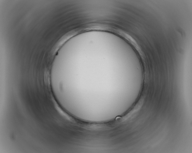 X0000113741433200910140954