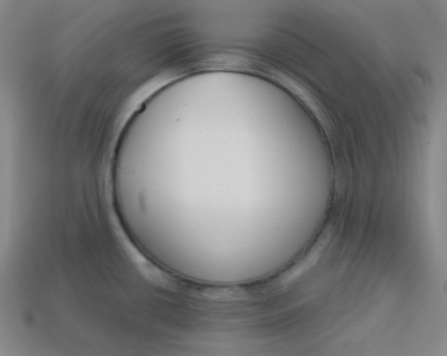 X0000113741434200910140954