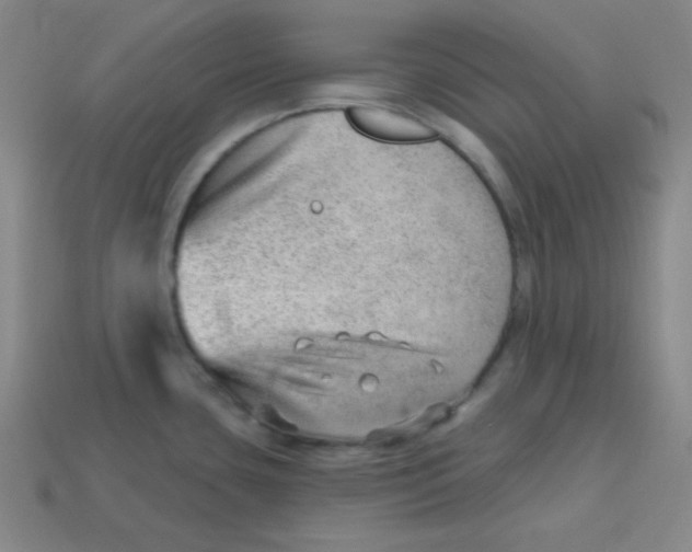 X0000113741435200910140954