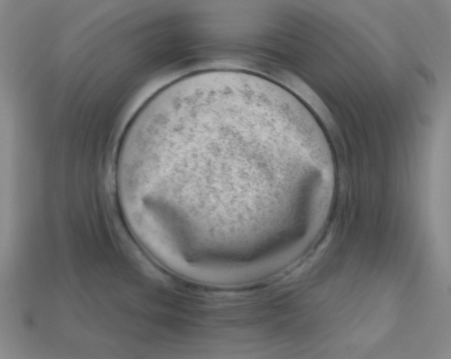 X0000113741436200910140954