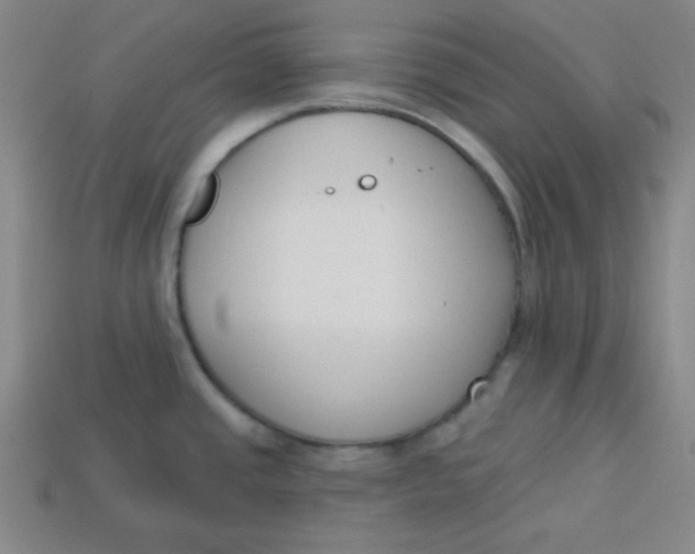 X0000113741437200910140954