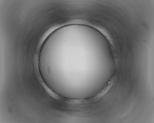 X0000113741438200910140954