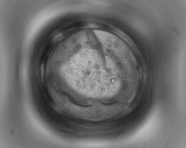 X0000113741439200910140954